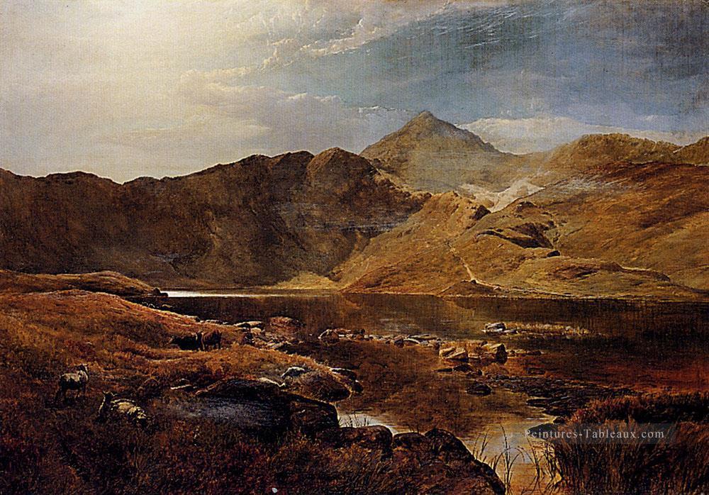 Williams Bovins Et Moutons Dans Un Paysage Ecossais Highland Sidney Richard Percy Peintures à l'huile